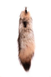 Foxy